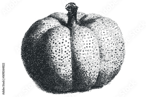 Textured orange fruit with stem on transparent background