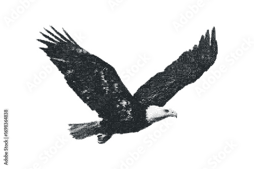 Halftone eagle in flight