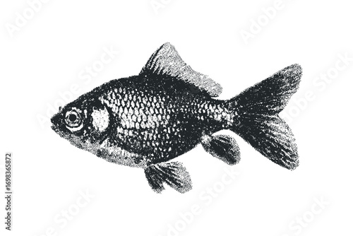 Grayscale textured fish silhouette with transparent background