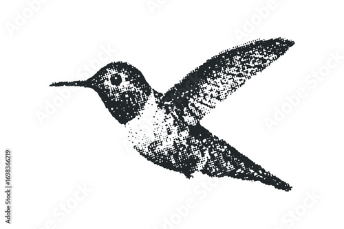 Black hummingbird silhouette on transparent background