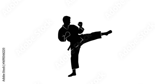 Silhouette of a martial artist performing a dynamic side kick in a karate gi.