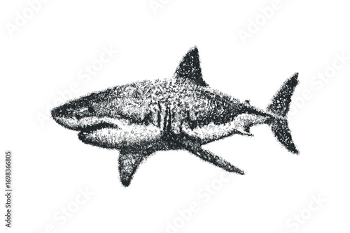 Shark swimming, dotted texture, transparency