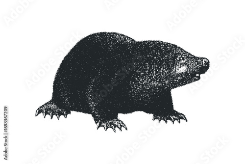 Grayscale textured mole creature on transparent background