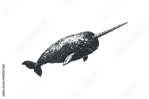 Single narwhal depicted with a textured fill on transparent