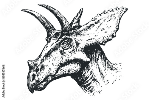 Triceratops Dinosaur Head Profile Sketch on Transparent Background