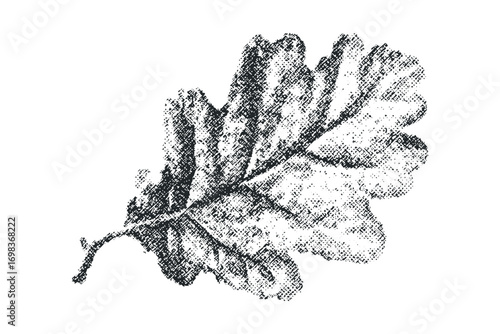 Textured oak leaf graphic with distressed ink effect