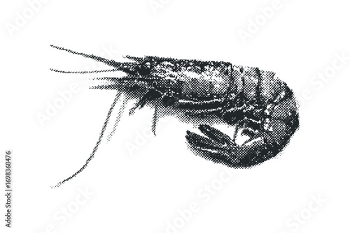 Halftone style shrimp image on transparent background
