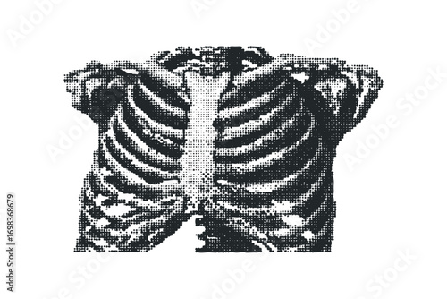 Halftone Ribcage Image with Transparent Background