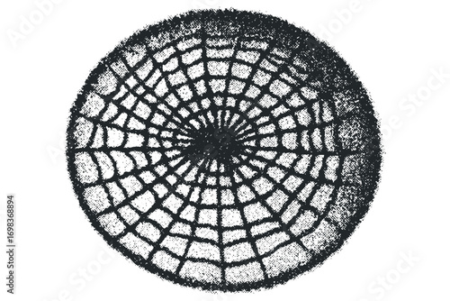 Textured circular spider web graphic on transparent background