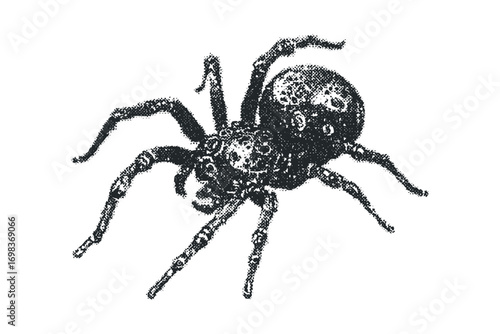 Arachnid stipple drawing on a transparent background