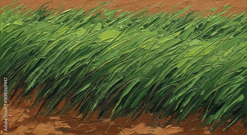 Close up of a field of green grass.