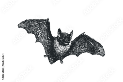 A detailed etching of a bat with wide wings outstretched in flight