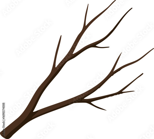 branch tree illustration on isolated white
