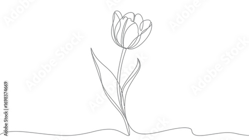 Delicate single line drawing tulip illustration scalable vector graphic for eps silhouette vector illustration white background