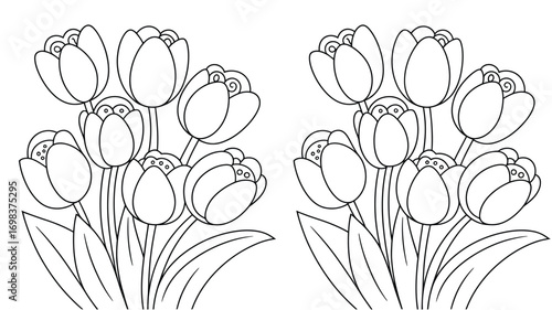 Two detailed line art vector illustrations of tulip bouquets scalable eps floral graphics silhouette vector illustration white background