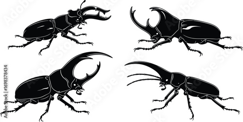 Four distinct beetle illustrations showcasing their impressive horns and detailed exoskeletons.