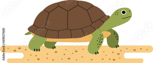 Turtle walking on sandy ground simple vector art illustration with green legs and brown shell