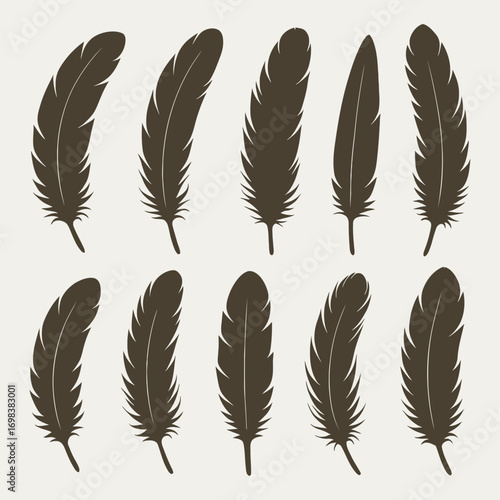 Brown color bird feathers silhouette set. Vector illustration.