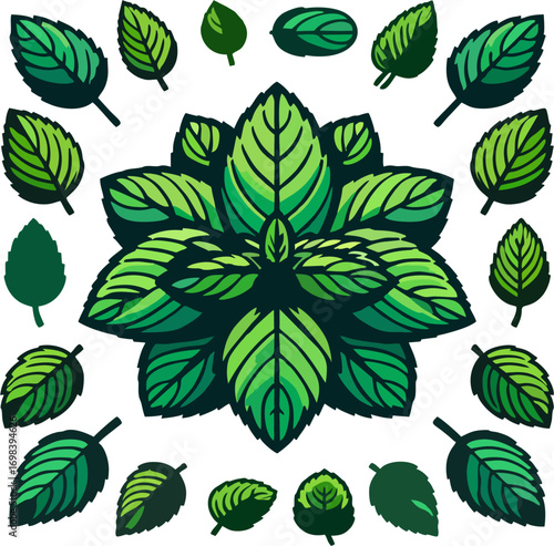 Mint Leaves Flat Vector Set Illustration – Herbal Leaf Collection
