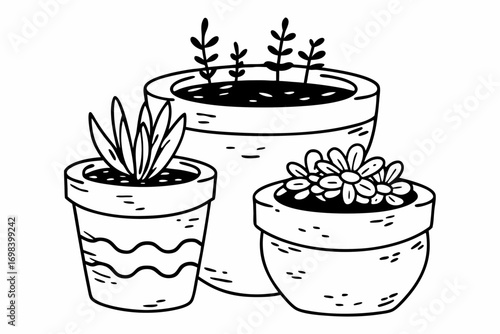 flower in pot