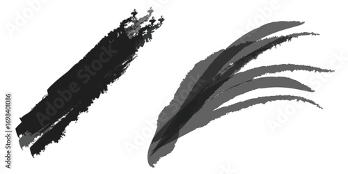 Ink Strokes in the Dark: A duo of dynamic, monochromatic ink strokes, showcasing texture and movement, evoke a sense of artistic flair and creative expression.A black vector illustration of a set of d