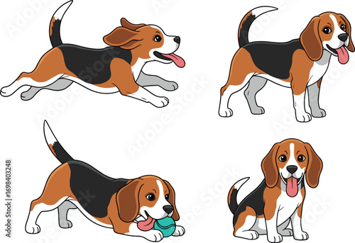 Beagle cartoon set, dog poses, running beagle, playful dog, sitting pet, cute animal, friendly dog, vector illustration, character design