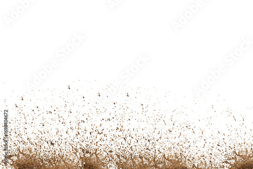 mud isolated on white background.