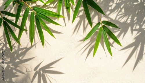 Bamboo Leaves Shadows on Sand Wall Tropical Vibe