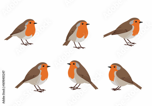 Cute cartoon robin birds set in flat vector illustration style, featuring multiple red-breasted songbirds isolated on a white background.