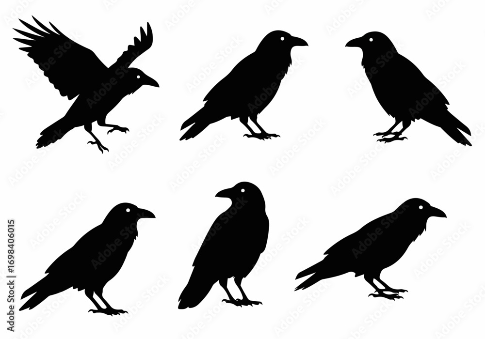 Fototapeta premium Dynamic Collection of Black Raven and Crow Silhouettes, capturing various poses from flight to perching, ideal for design and thematic projects.