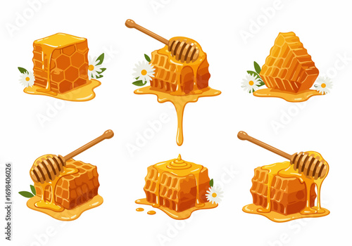 Sweet honeycombs with dripping golden honey and dippers, illustrated set with chamomile flowers, depicting natural and organic food elements.