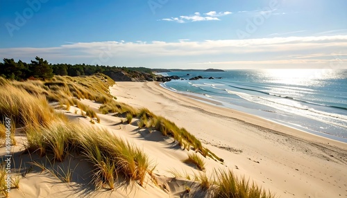 Fototapeta Naklejka Na Ścianę i Meble -  Wide beach with dunes and ocean