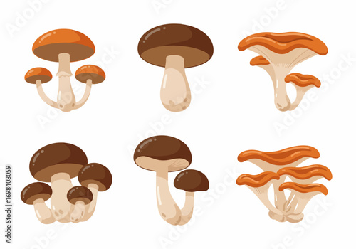Colorful cartoon mushroom vector set, featuring diverse types like bolete, shiitake, and chanterelle, ideal for nature, food, and fantasy designs.