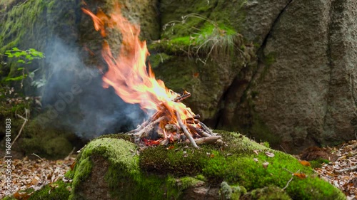 Campfire Burning in Forest with Mossy Rocks