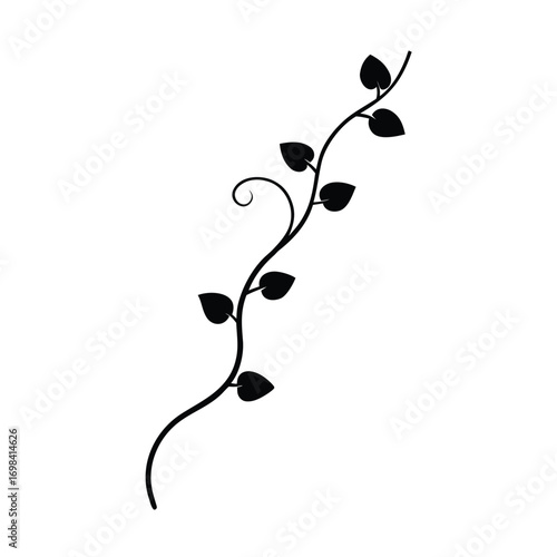 Minimalist black vine silhouette on a clean white background for design