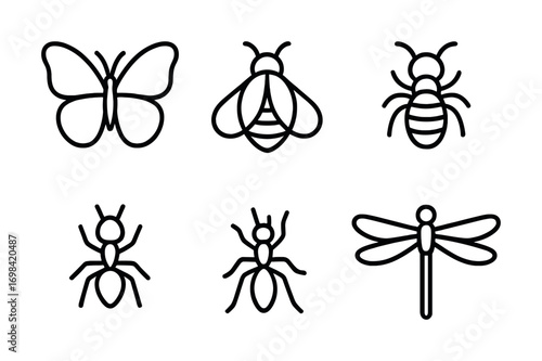Black outline insect icons: butterfly, bee, ant, dragonfly