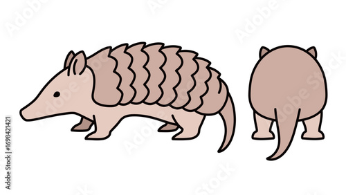 Two different vector views of a pangolin, side and back, in a cute and simple graphic style on a clean white background