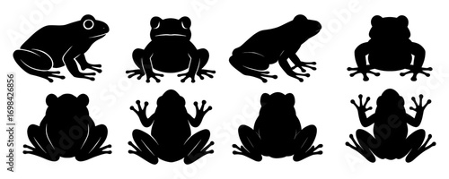 A series of black and white frog silhouettes. The frogs are all different sizes and are sitting in various positions. Vector. Silhouette illustration.