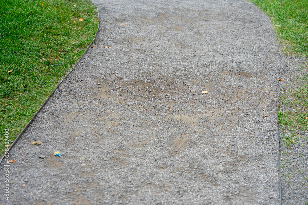 Obraz premium Strolling in Park Along Curved Path with Pigeons 