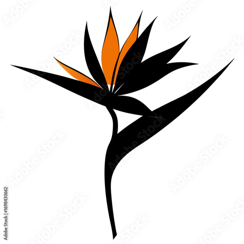 silhouette strelitzia-bird of paradise vector illustration on white background