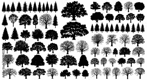 A collection of diverse tree silhouettes, showcasing various species and shapes in a stark black and white composition.