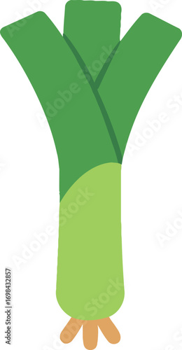 Crisp leafy leek vegetable flat vector illustration
