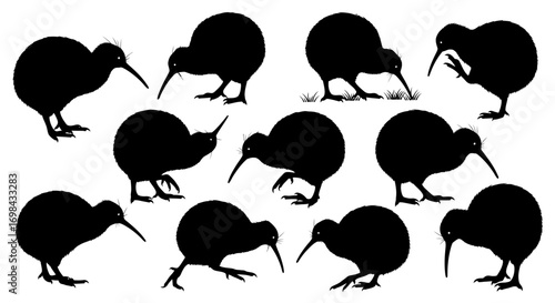A collection of kiwi bird silhouettes in various poses, including standing, walking, and foraging with their beaks in the ground.