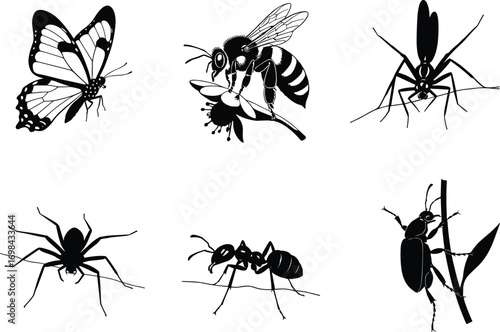 Insect and arachnid black silhouette vector set, butterfly, bee, mosquito, spider, ant, beetle, nature icons, biodiversity, pest control, entomology