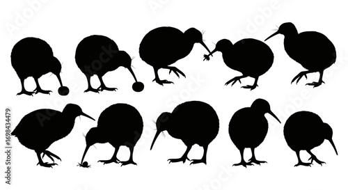 A collection of kiwi bird silhouettes in various poses, some with beaks touching the ground or holding small round objects.