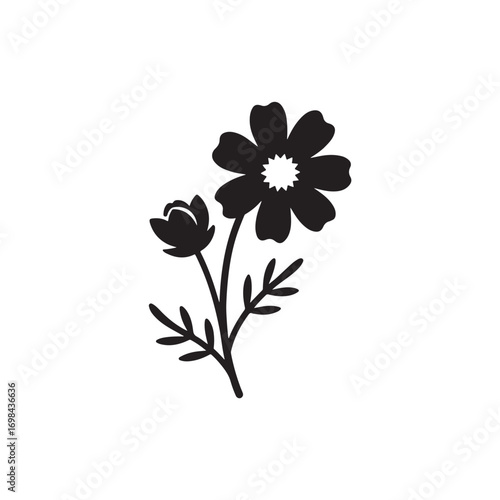 Cosmos flower Vector (2).eps