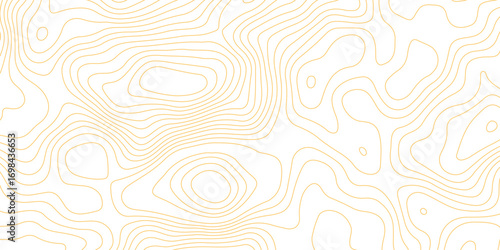 Topographic map background with geographic grid for hiking and mountain sport. luxury topographic wavy pattern and geographic grid map design. paper texture Imitation of a geographical map shades.
