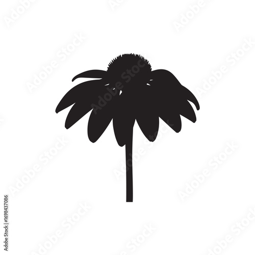 Echinacea (Coneflower) Vector (6).eps