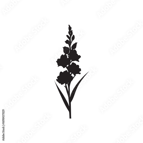 Gladiolus Vector (8).eps