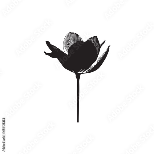 Iris Vector (5).eps